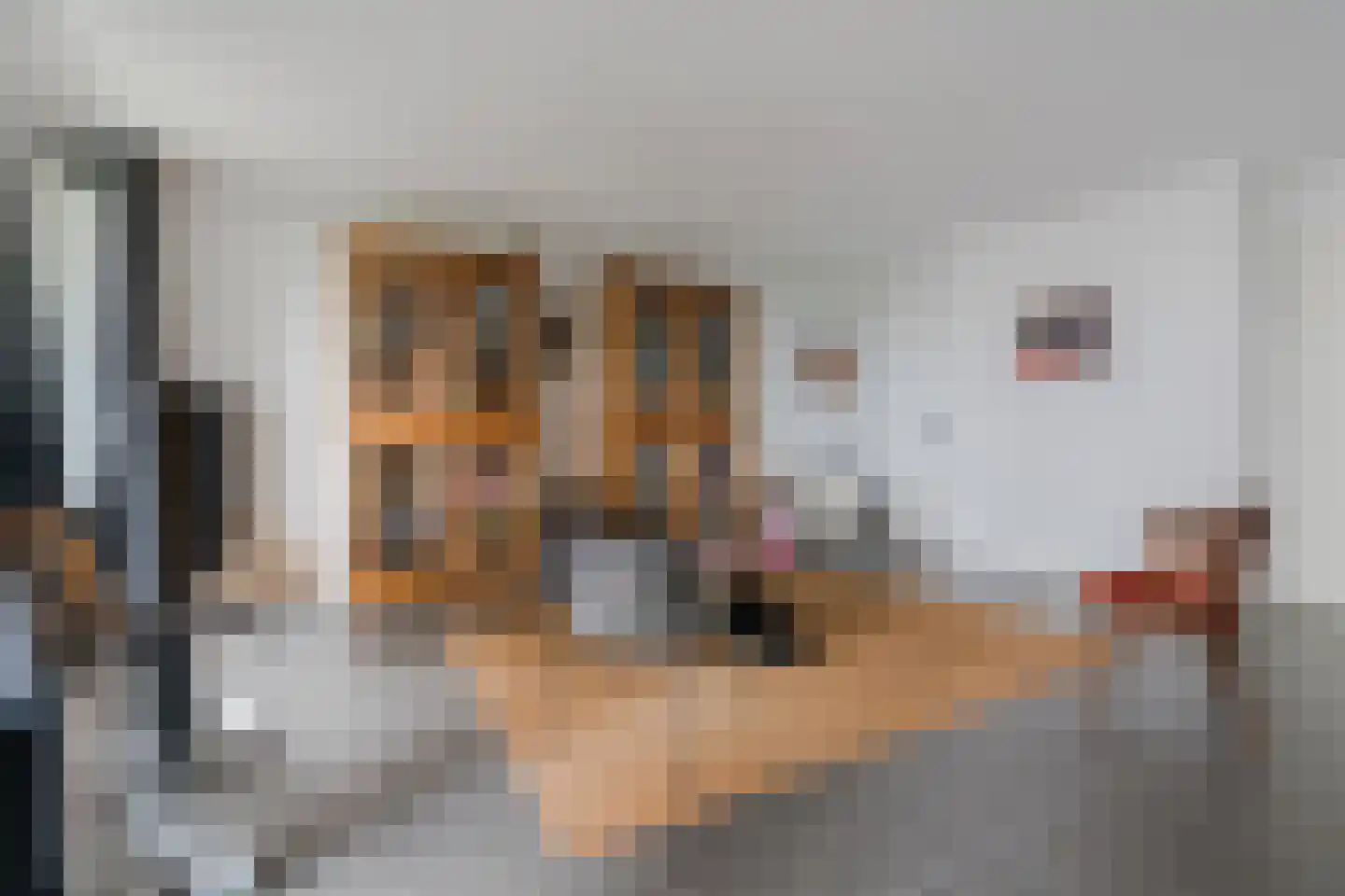 Abdijtuinen 318 Veldhoven thumbnail 24