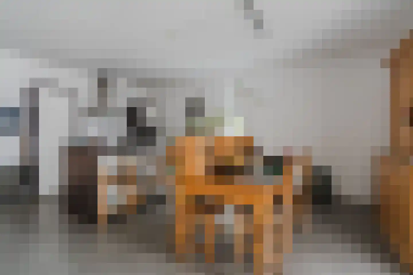 Abdijtuinen 318 Veldhoven thumbnail 28