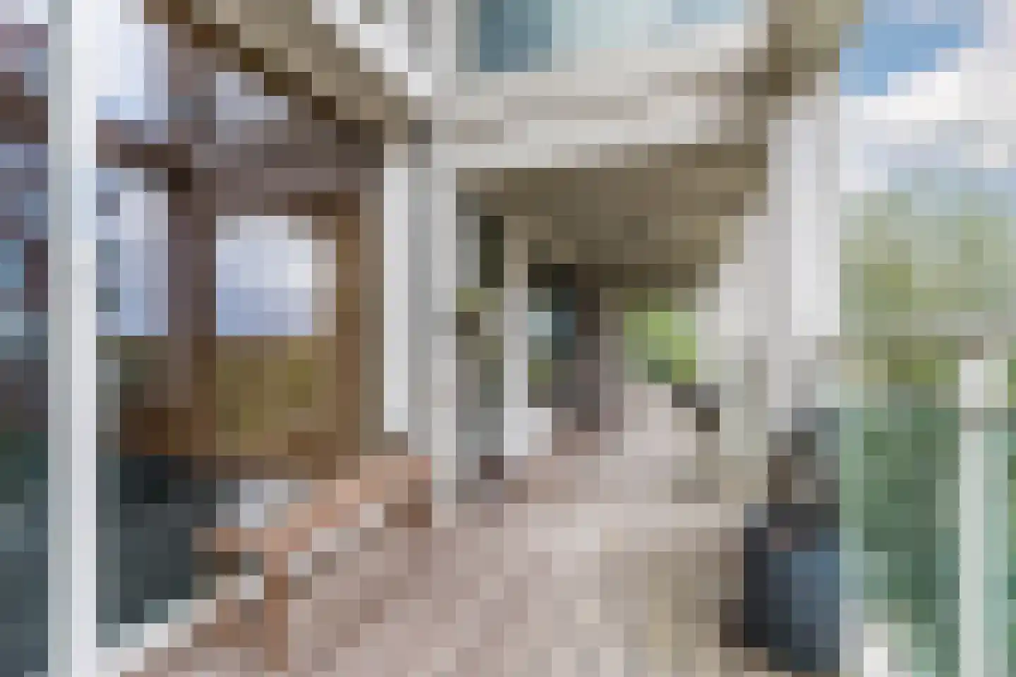 Abdijtuinen 318 Veldhoven thumbnail 49