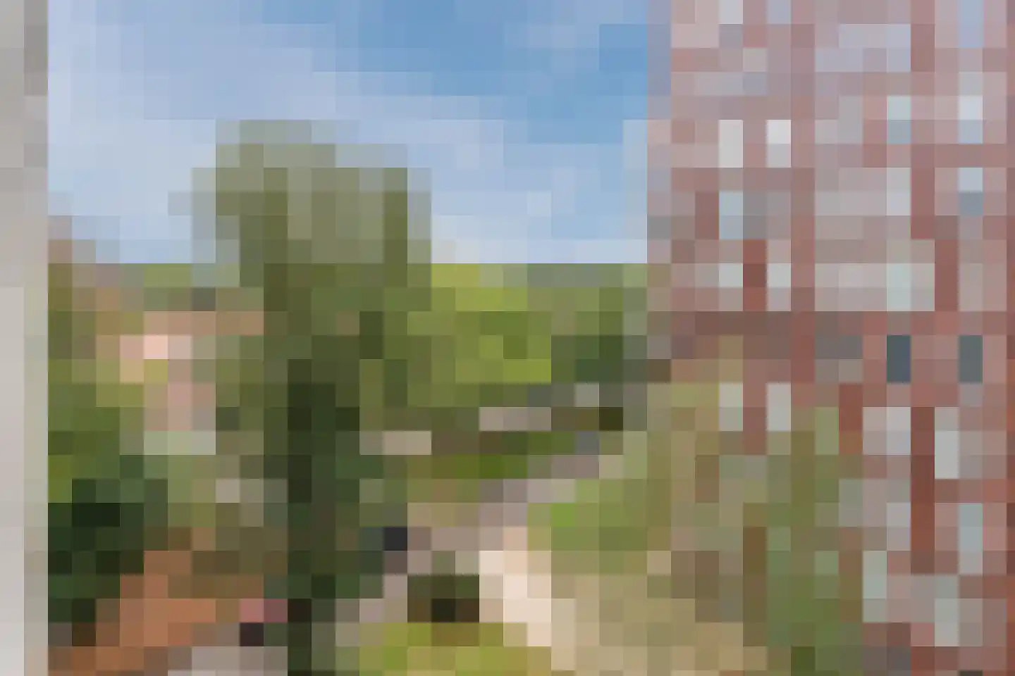 Abdijtuinen 318 Veldhoven thumbnail 51