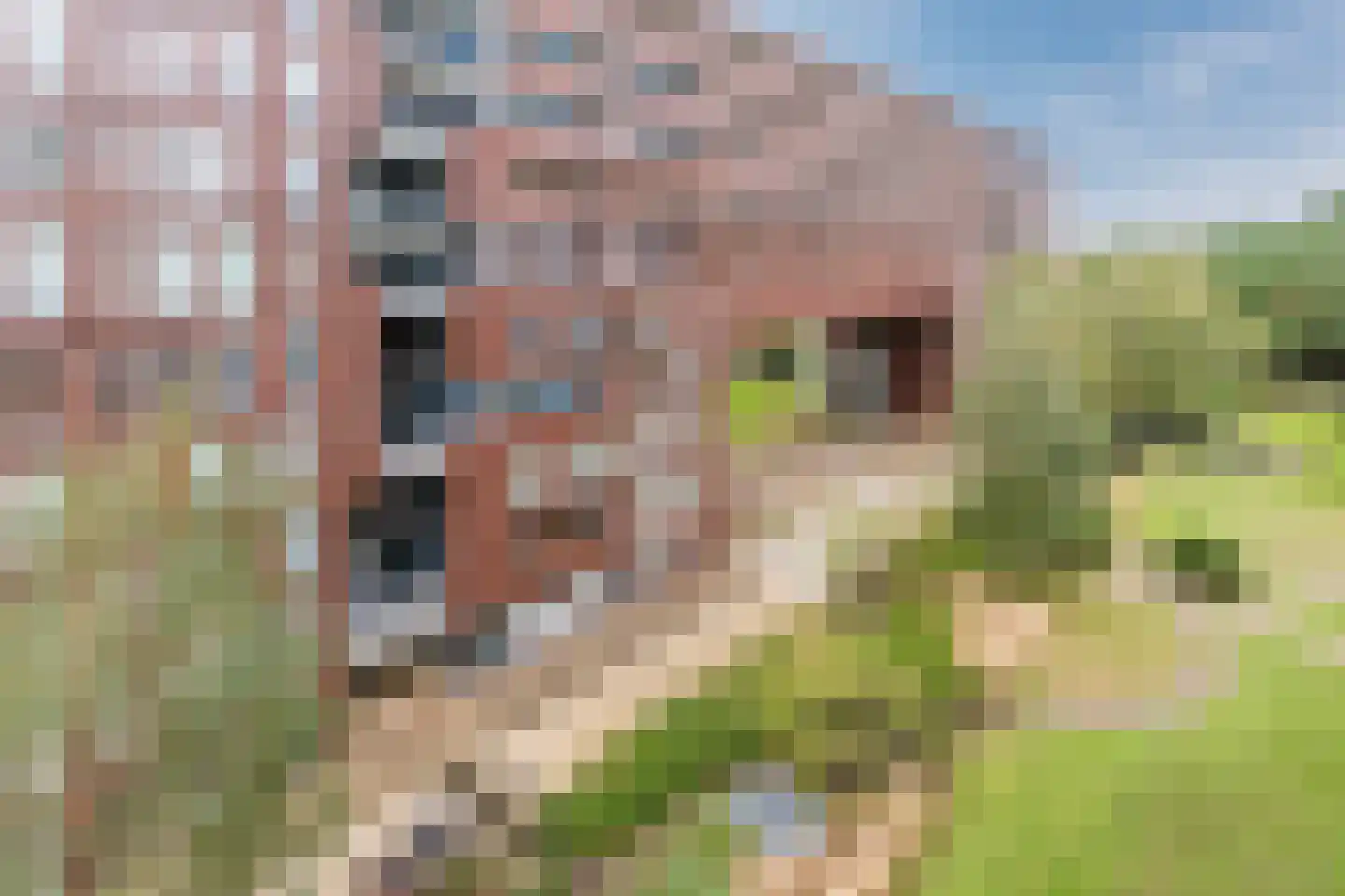 Abdijtuinen 318 Veldhoven thumbnail 52