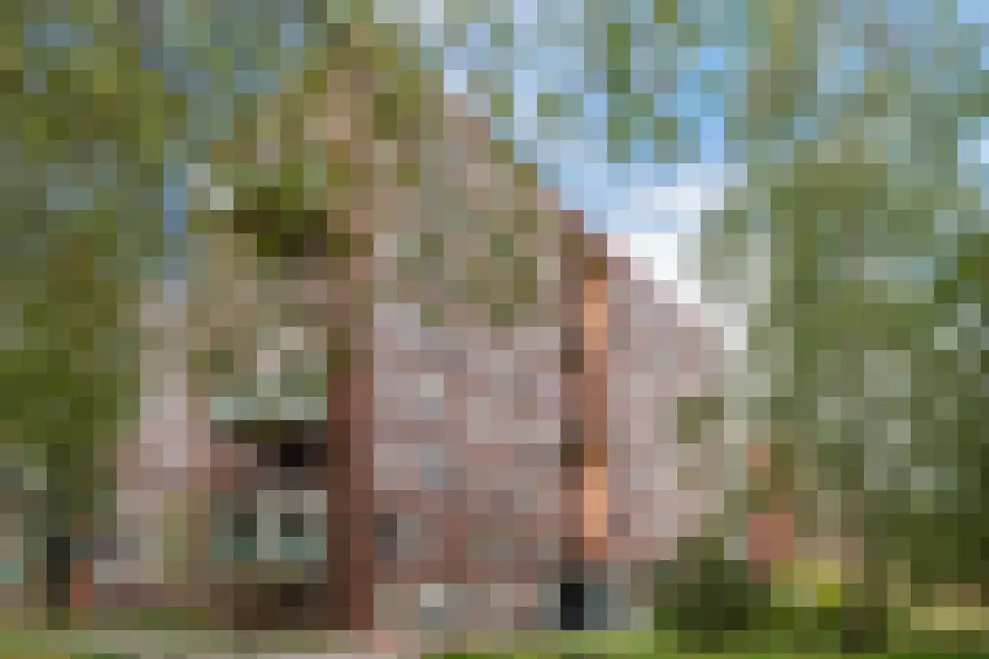 Abdijtuinen 318 Veldhoven thumbnail 7