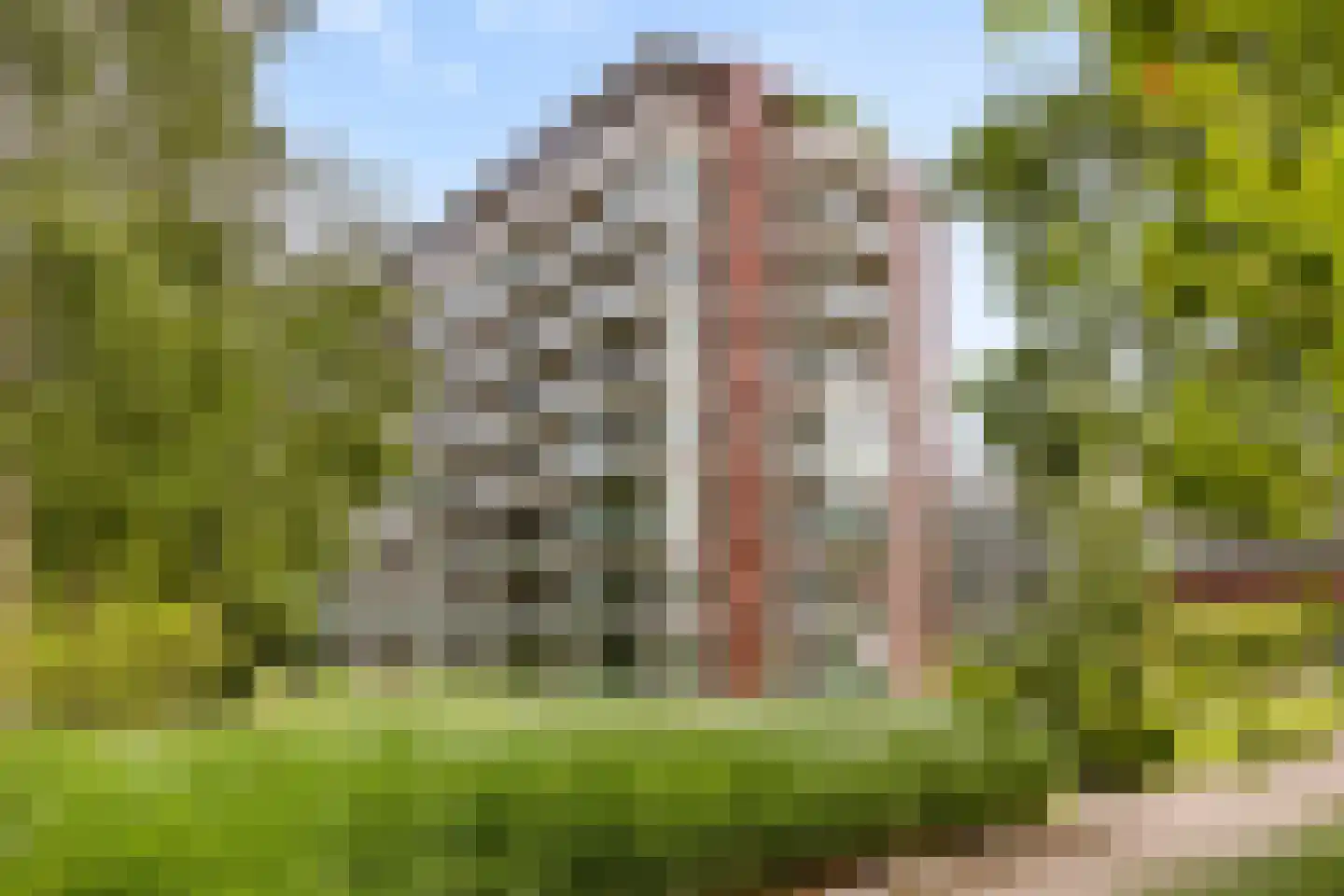 Abdijtuinen 421 Veldhoven