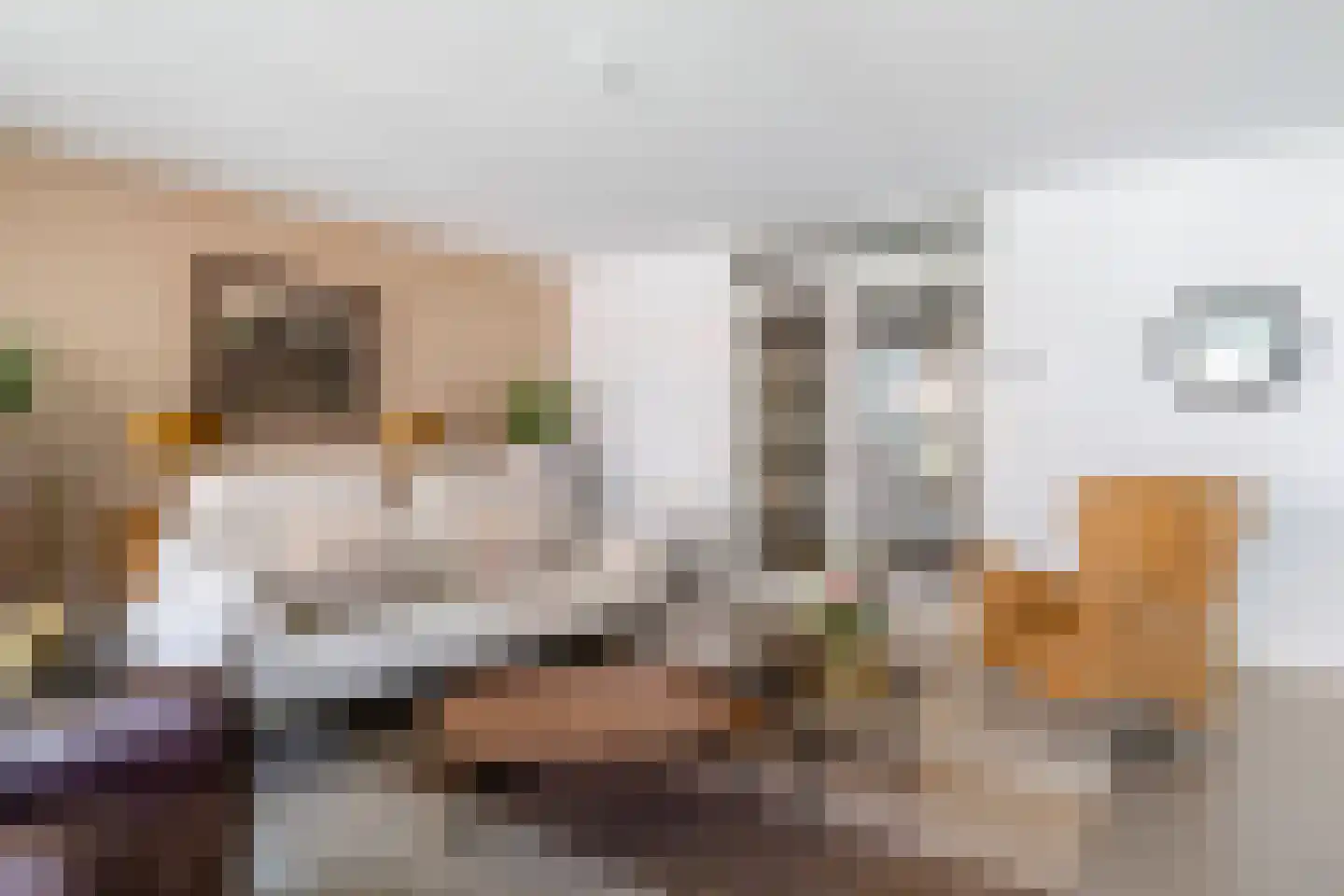 Abdijtuinen 421 Veldhoven thumbnail 26