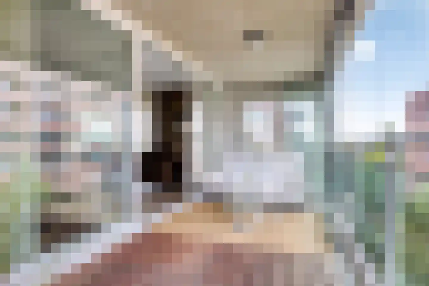 Abdijtuinen 421 Veldhoven thumbnail 27