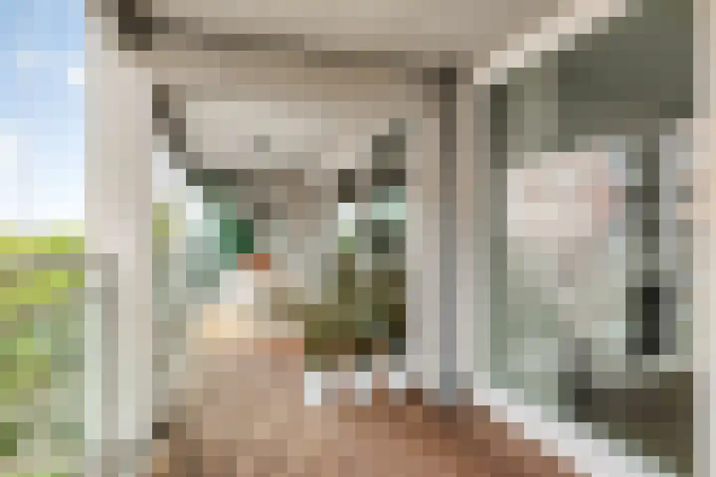 Abdijtuinen 421 Veldhoven thumbnail 28