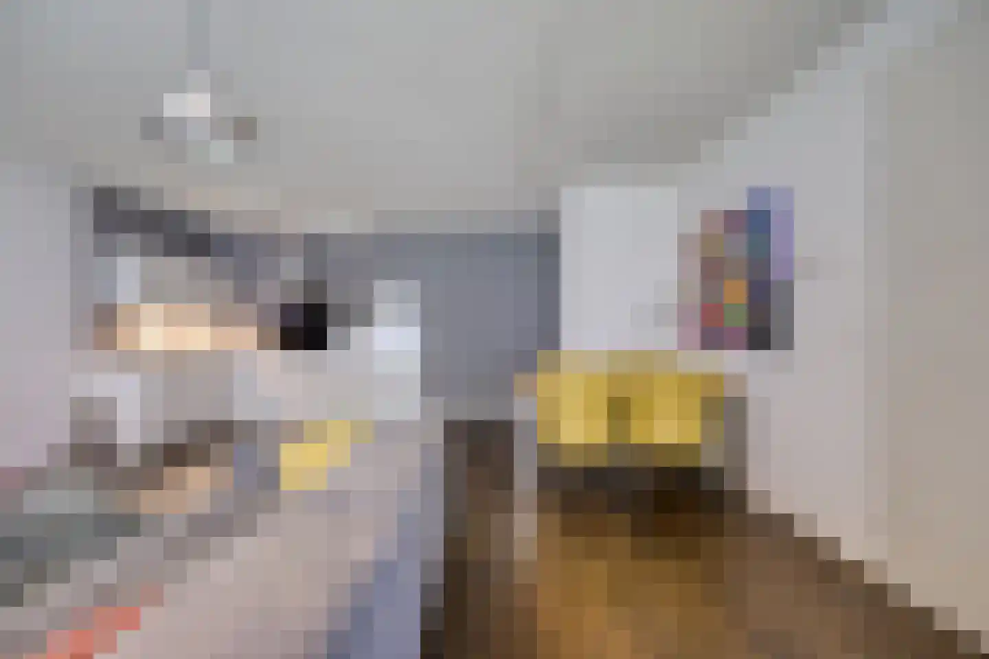 Abdijtuinen 603 Veldhoven thumbnail 20