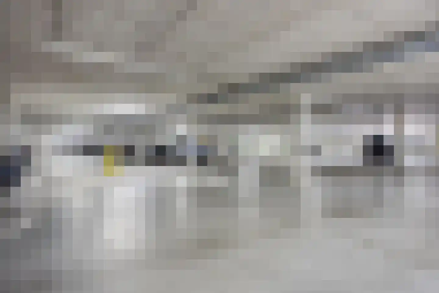 Abdijtuinen 603 Veldhoven thumbnail 37