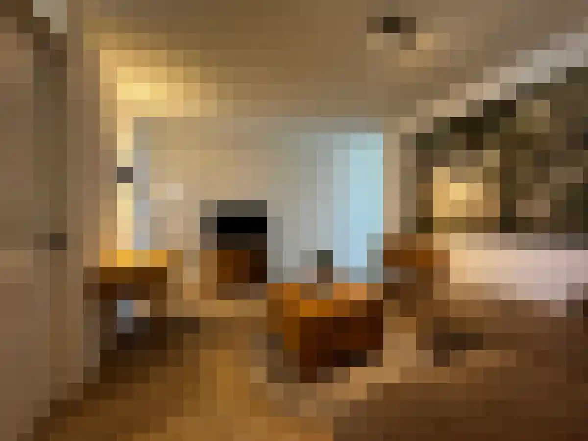 Abdijtuinen Veldhoven foto 2
