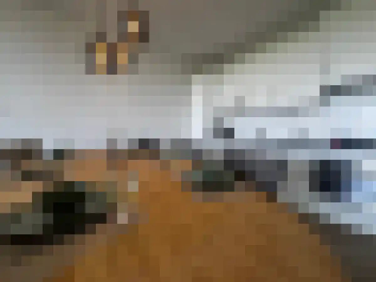 Abdijtuinen Veldhoven thumbnail 4