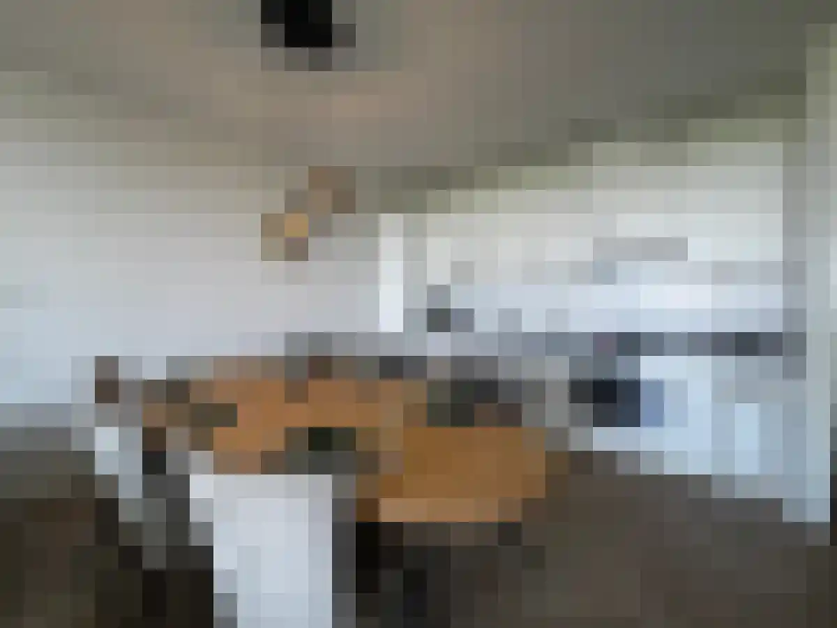 Abdijtuinen Veldhoven thumbnail 5