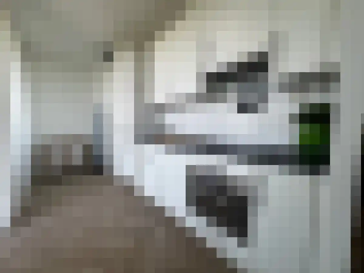 Abdijtuinen Veldhoven thumbnail 6
