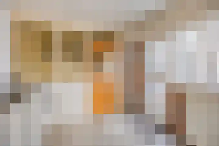 Abdijweg 10 Weerselo thumbnail 12
