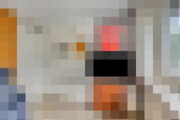 Abdijweg 10 Weerselo thumbnail 16