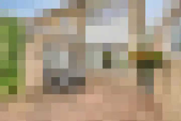 Abdijweg 10 Weerselo thumbnail 23