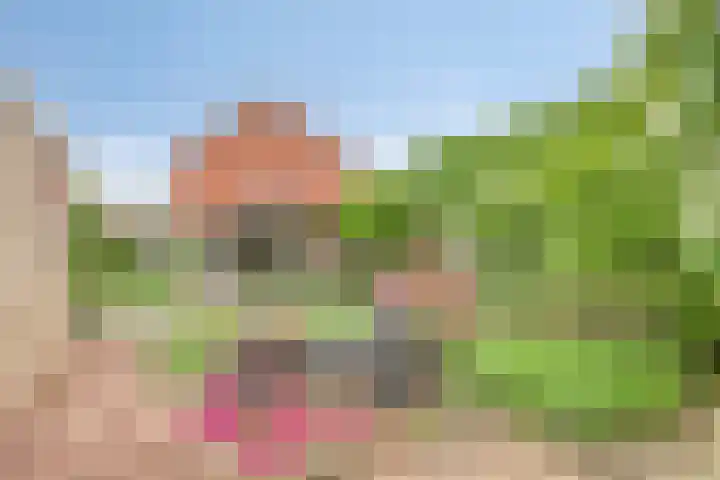 Abdijweg 10 Weerselo thumbnail 24