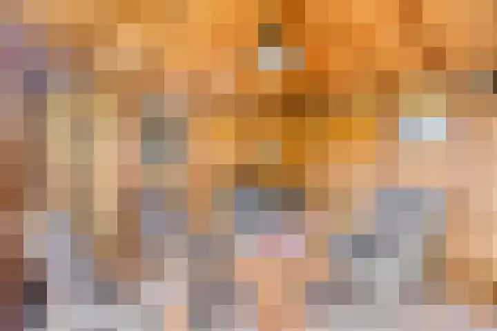 Abdijweg 10 Weerselo thumbnail 26