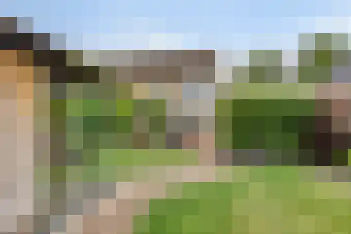 Abdijweg 10 Weerselo thumbnail 27