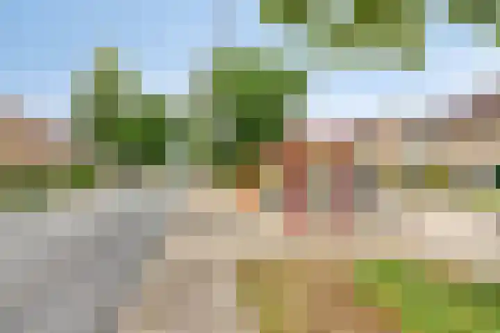 Abdijweg 10 Weerselo thumbnail 30