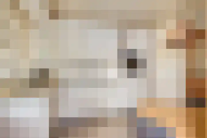 Abdijweg 10 Weerselo thumbnail 4