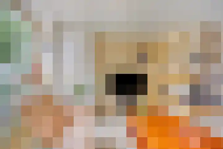 Abdijweg 10 Weerselo thumbnail 6