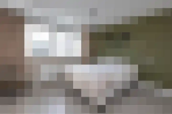 Abdijweg 4 Weerselo thumbnail 11