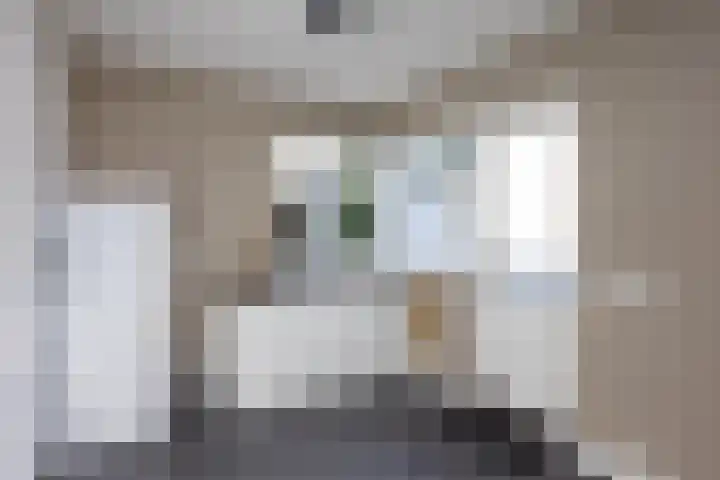 Abdijweg 4 Weerselo thumbnail 8