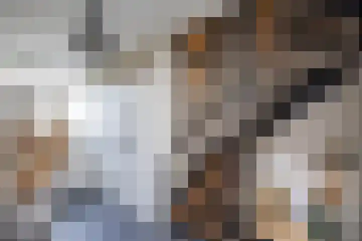 Abdijweg 4 Weerselo thumbnail 9