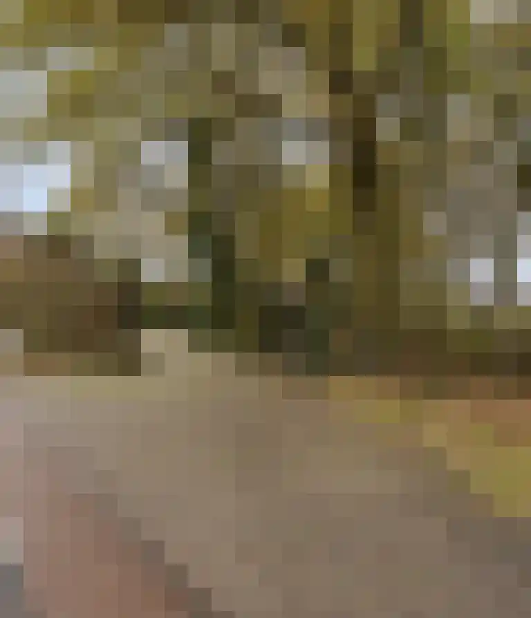 Abdijweg 5 Valkenswaard thumbnail 33