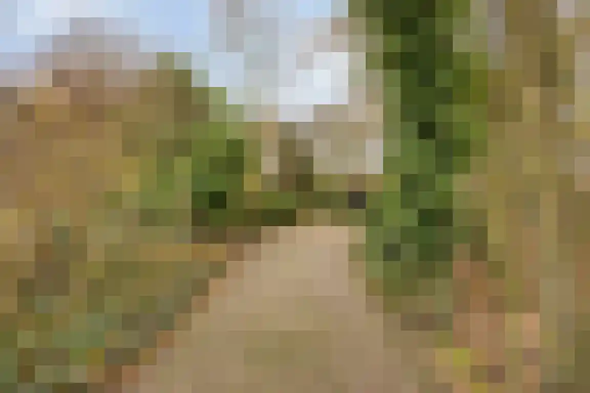 Abdijweg 5 Valkenswaard thumbnail 34