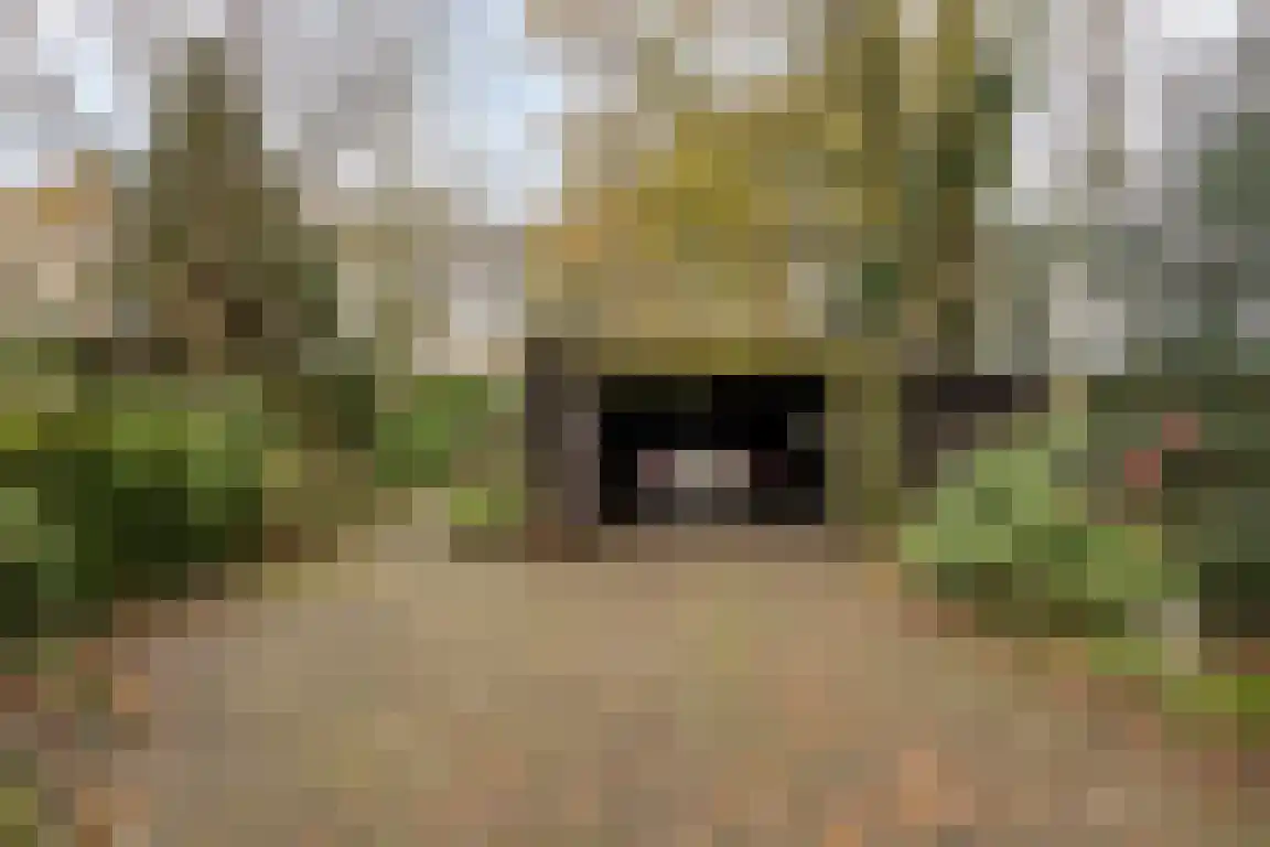 Abdijweg 5 Valkenswaard thumbnail 35