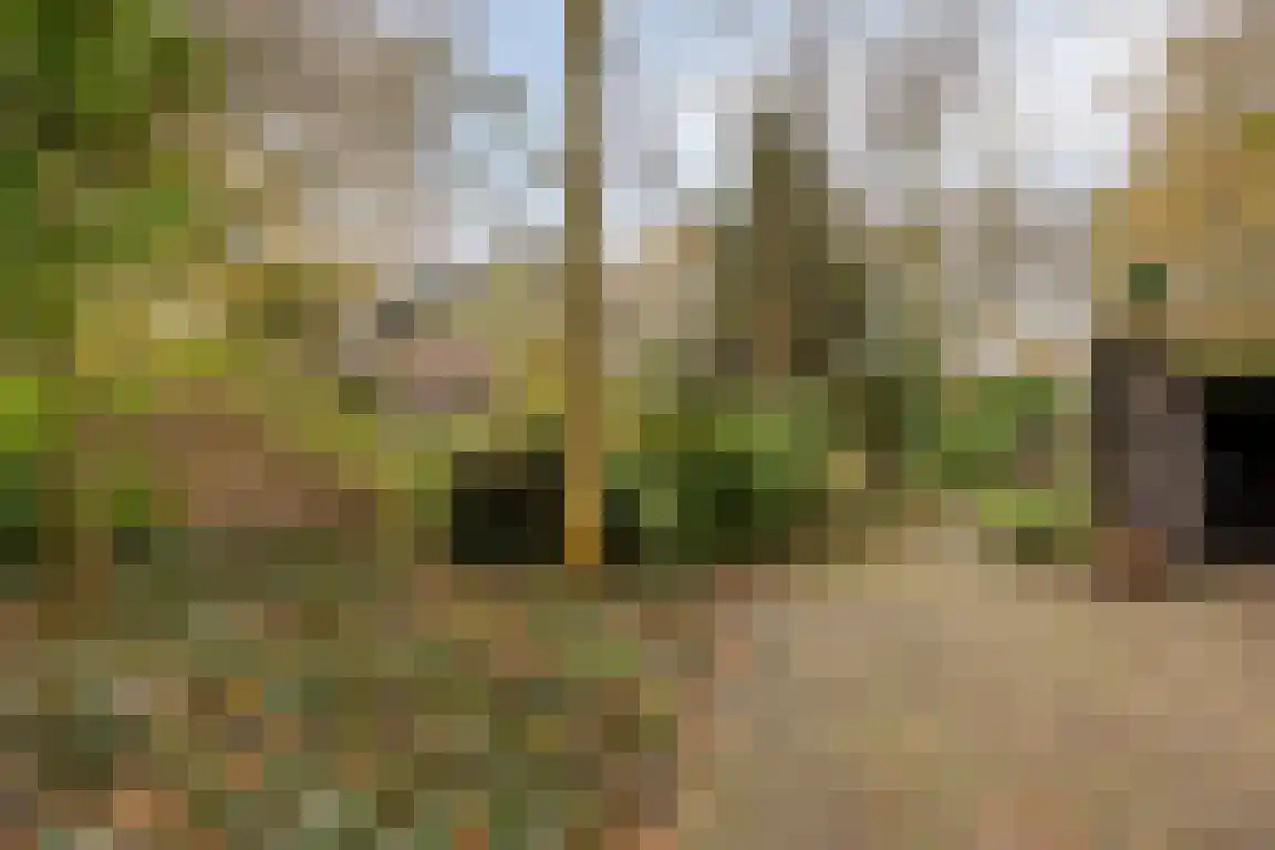 Abdijweg 5 Valkenswaard thumbnail 36