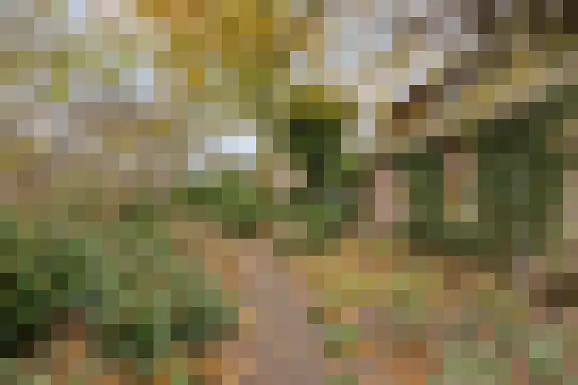 Abdijweg 5 Valkenswaard thumbnail 37