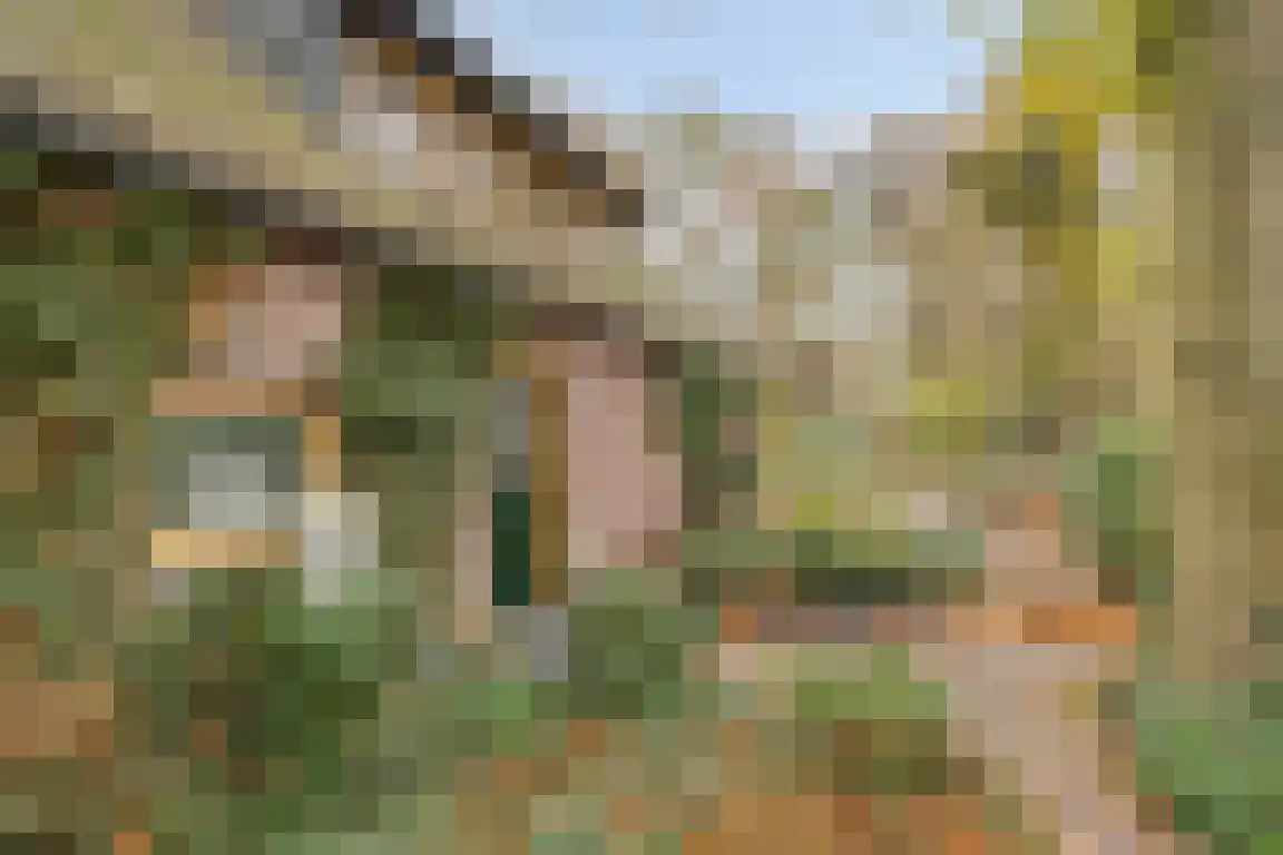 Abdijweg 5 Valkenswaard thumbnail 38