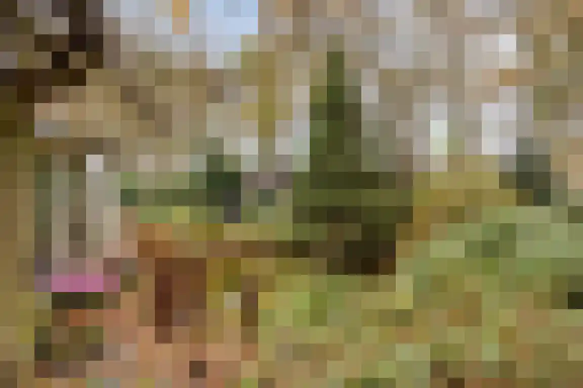 Abdijweg 5 Valkenswaard thumbnail 39