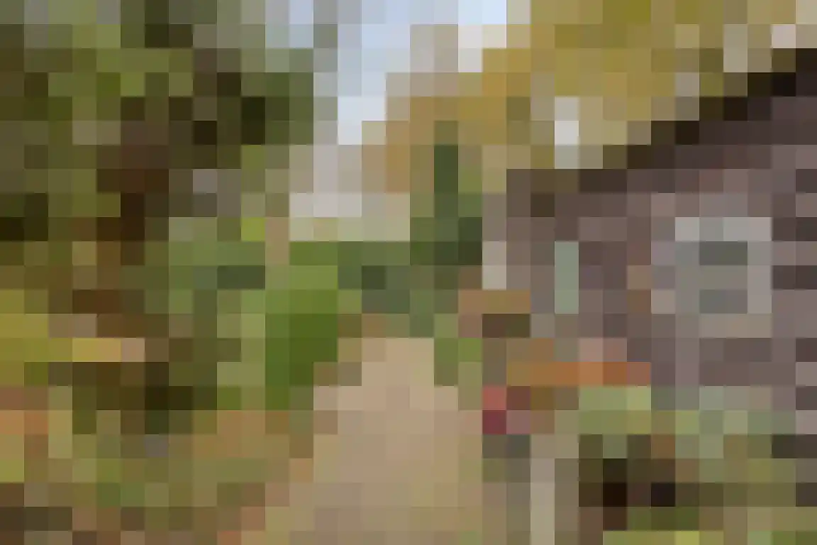 Abdijweg 5 Valkenswaard thumbnail 40