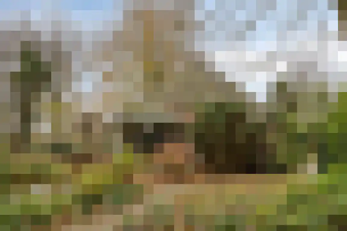 Abdijweg 5 Valkenswaard thumbnail 41