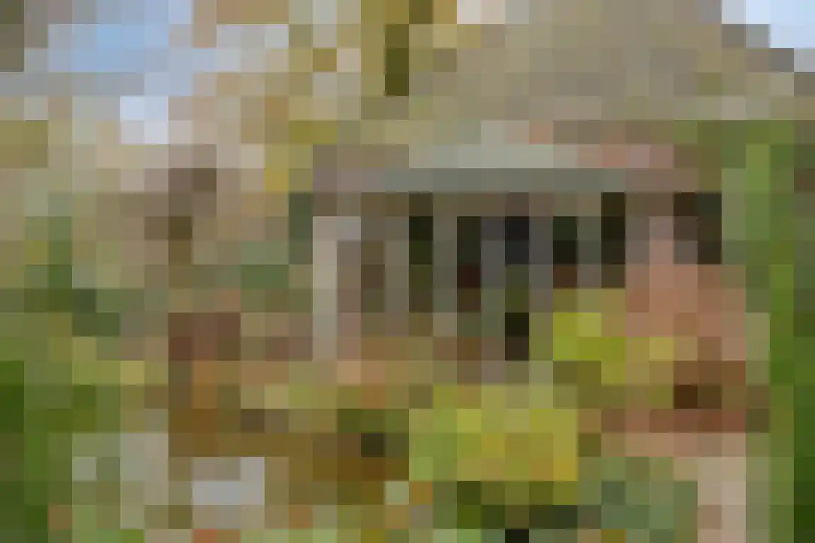 Abdijweg 5 Valkenswaard thumbnail 42