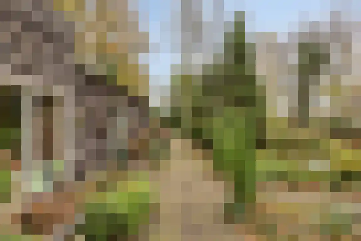 Abdijweg 5 Valkenswaard thumbnail 43
