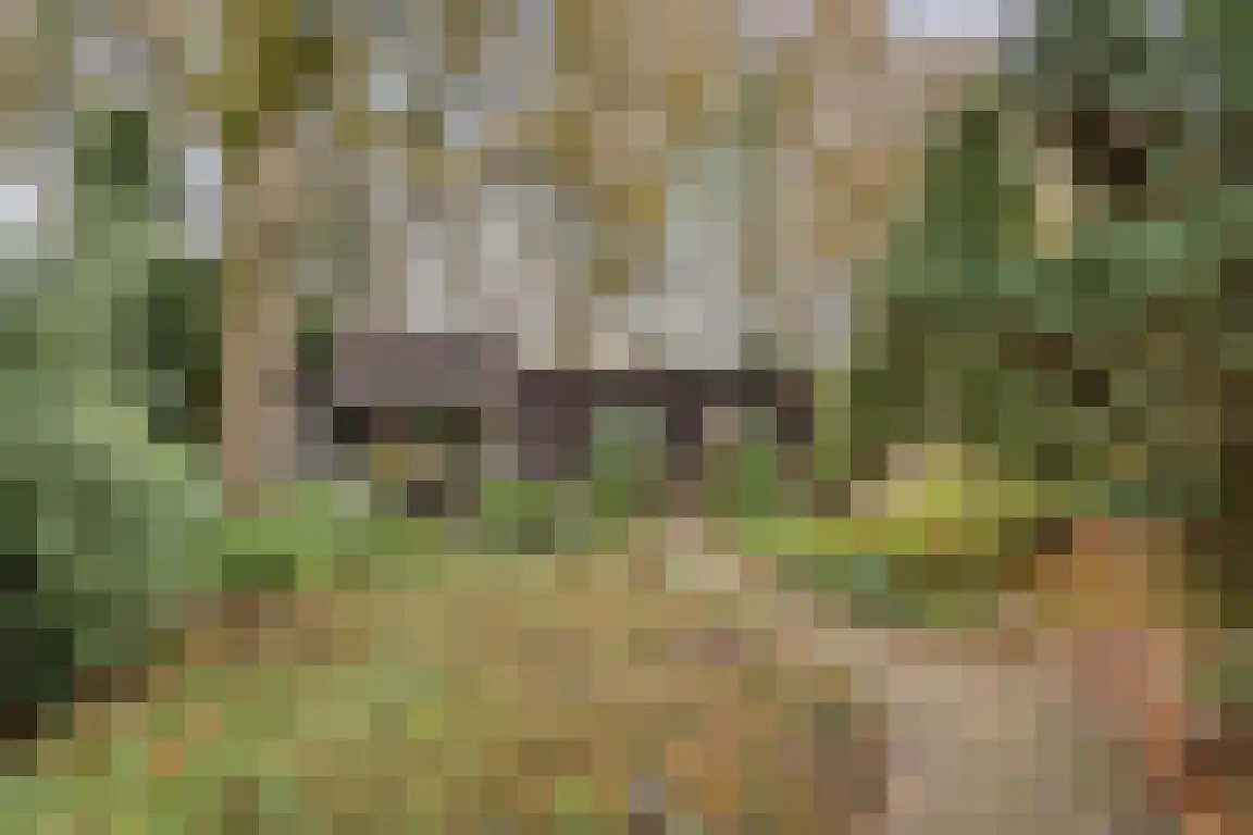 Abdijweg 5 Valkenswaard thumbnail 44