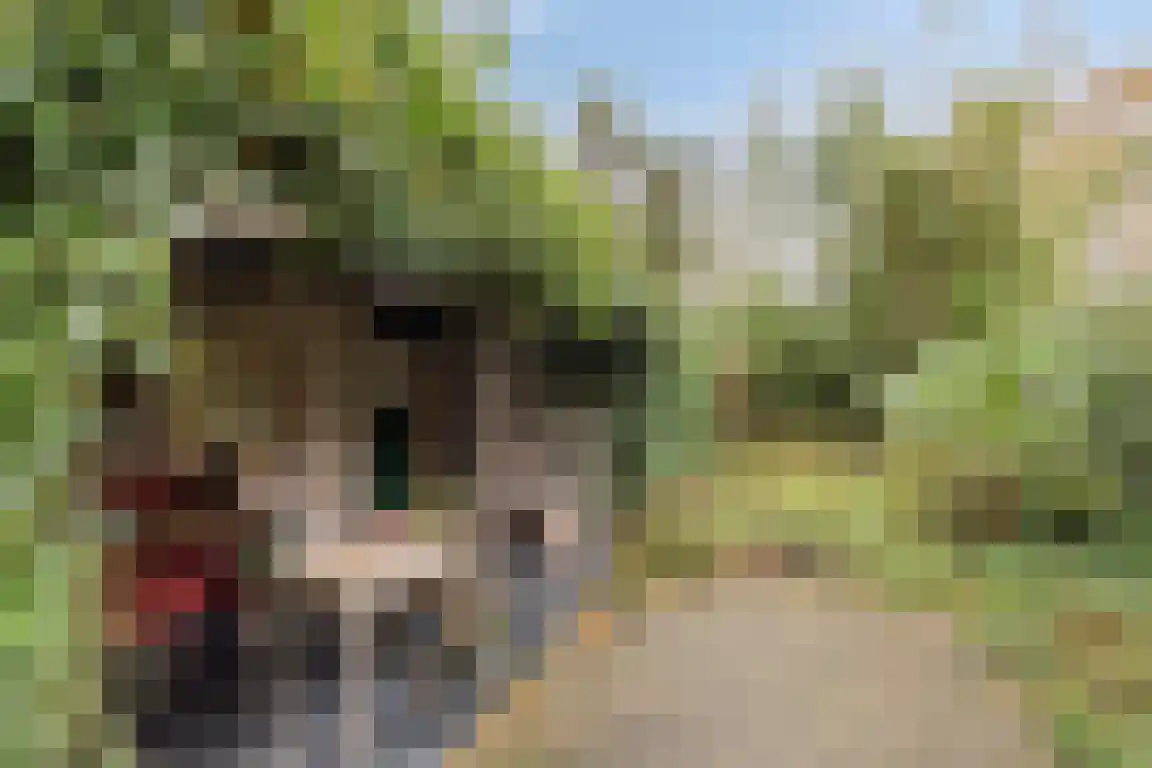 Abdijweg 5 Valkenswaard thumbnail 45