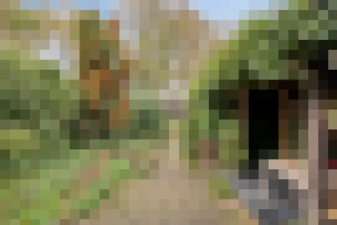 Abdijweg 5 Valkenswaard thumbnail 46