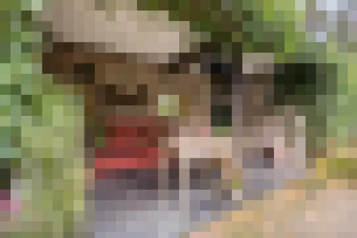 Abdijweg 5 Valkenswaard thumbnail 47