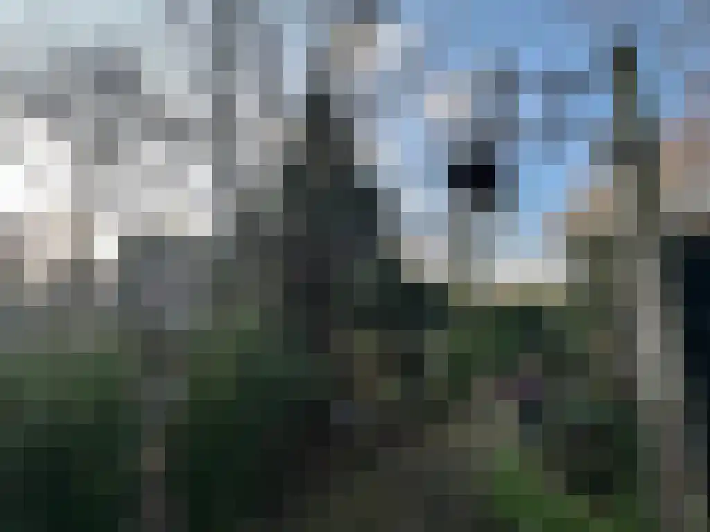 Abdijweg 5 Valkenswaard thumbnail 5