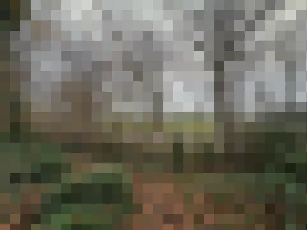 Abdijweg 5 Valkenswaard thumbnail 50
