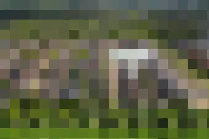 Abdijweide 23 Hellevoetsluis thumbnail 7