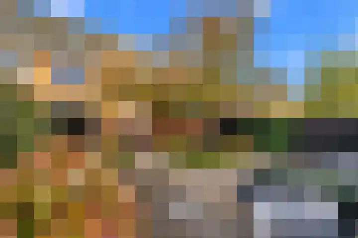 Abdijweide 24 Hellevoetsluis thumbnail 4