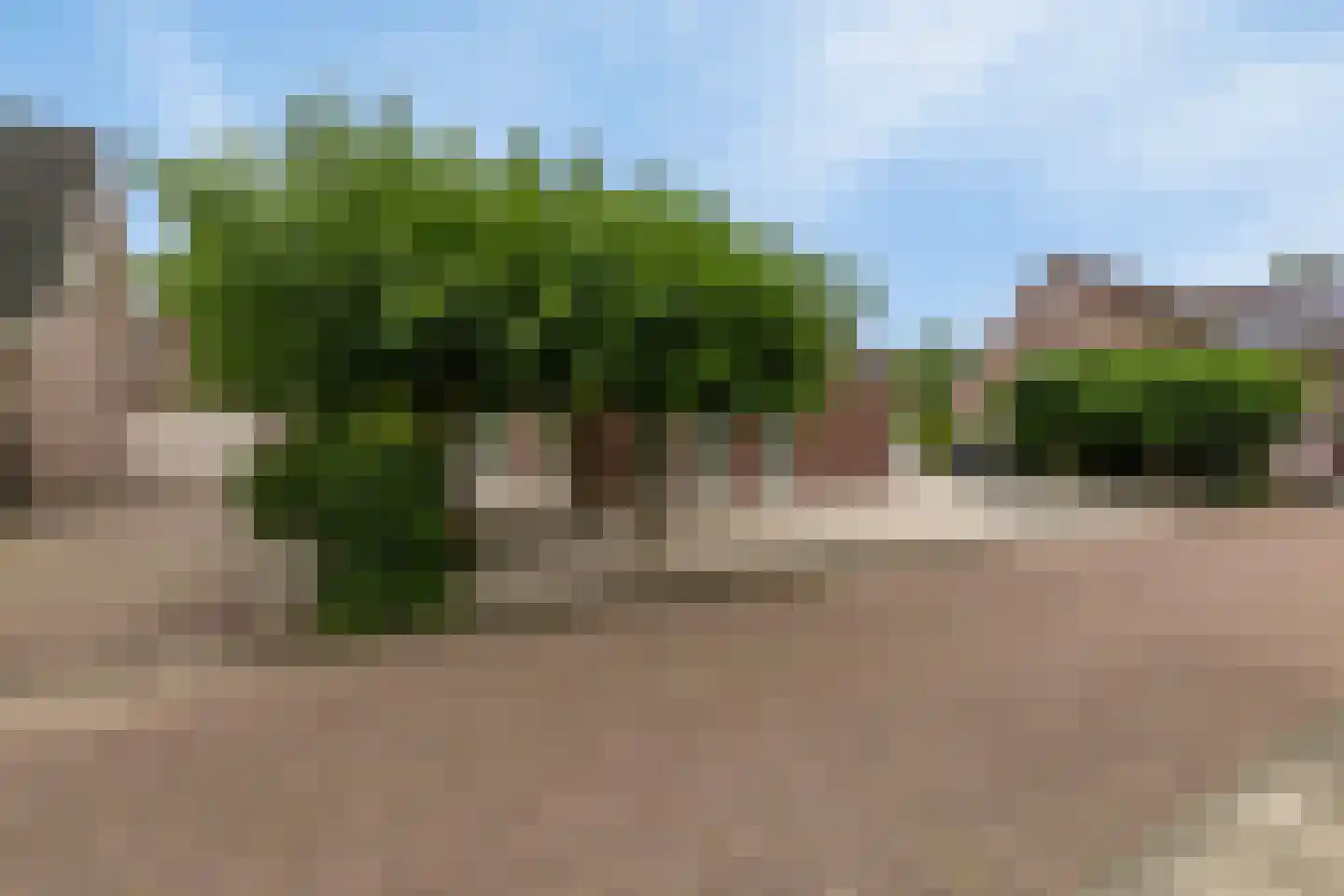Abdijweide 41 Hellevoetsluis thumbnail 5