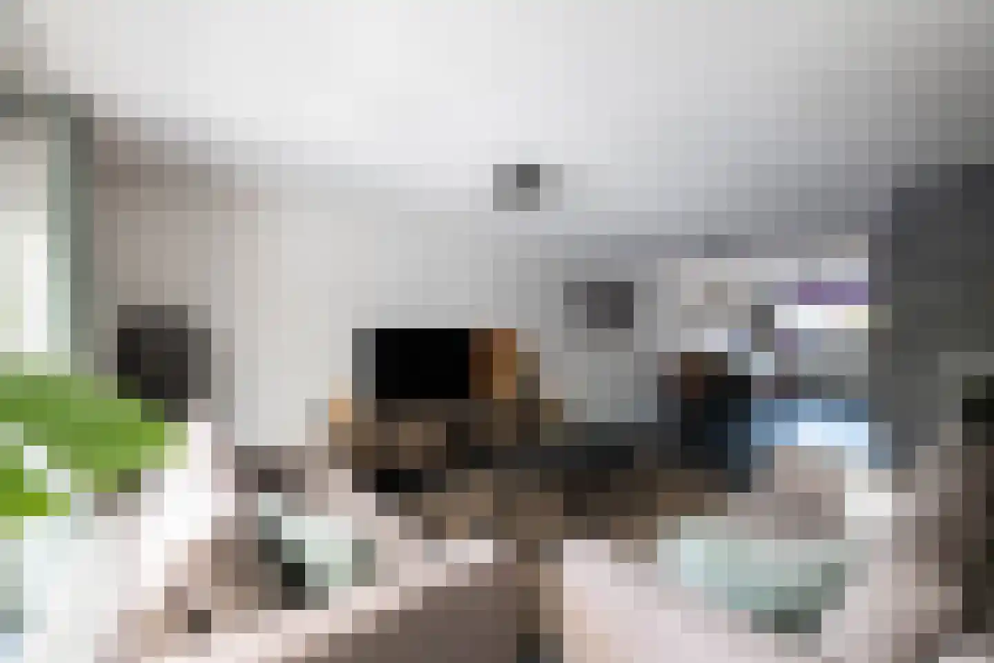 Abdijweide 5 Hellevoetsluis thumbnail 19