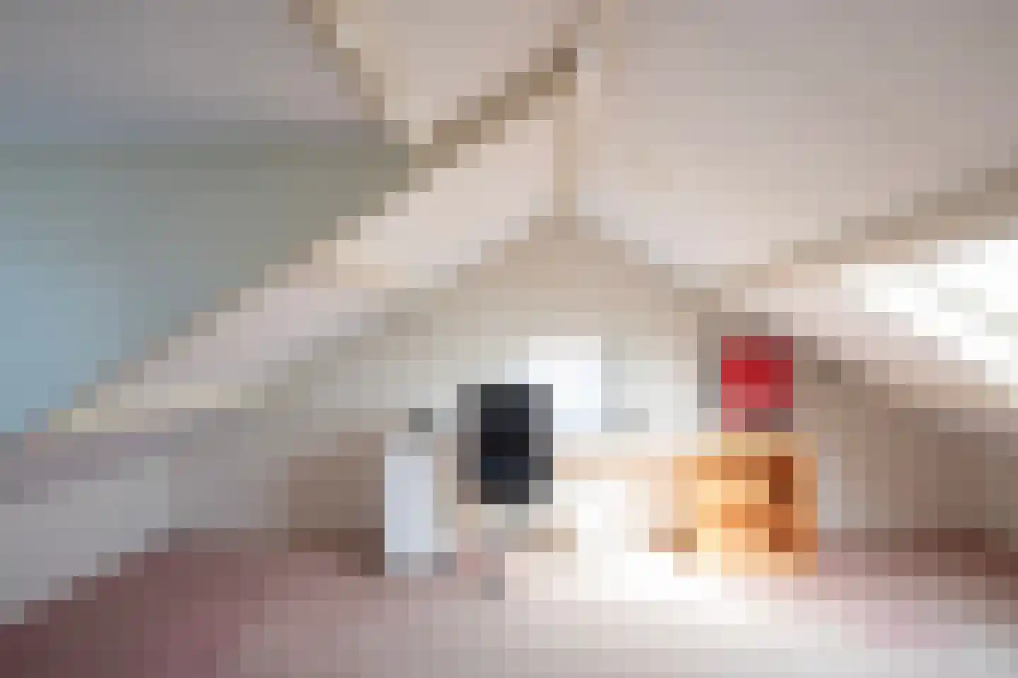 Abdinckhofstraat 1 Putten thumbnail 23